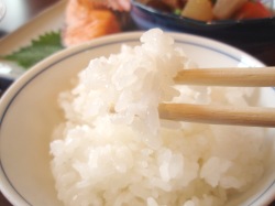 魚沼産コシヒカリ